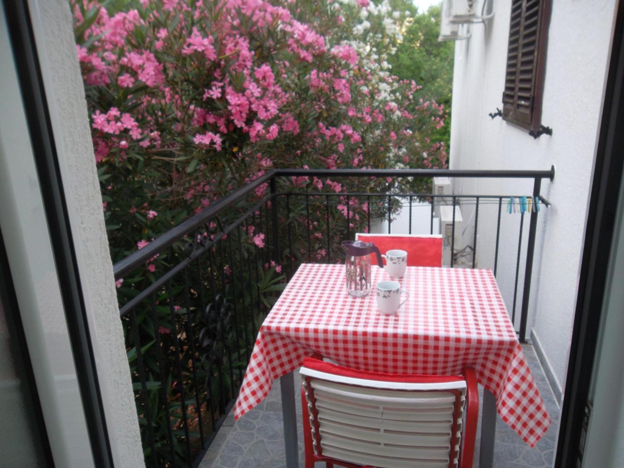 Guest House 4M Petrovac Chambre photo