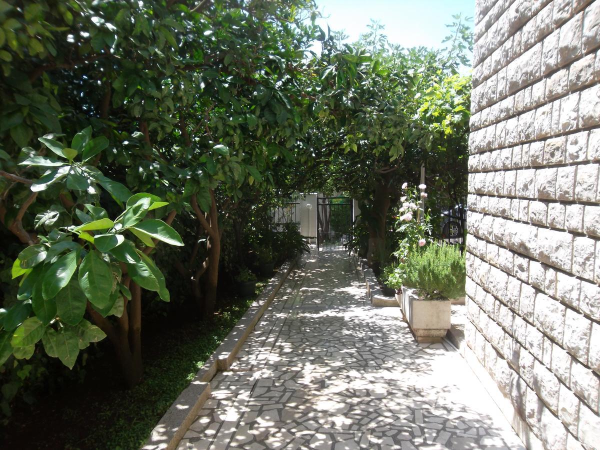 Guest House 4M Petrovac Extérieur photo