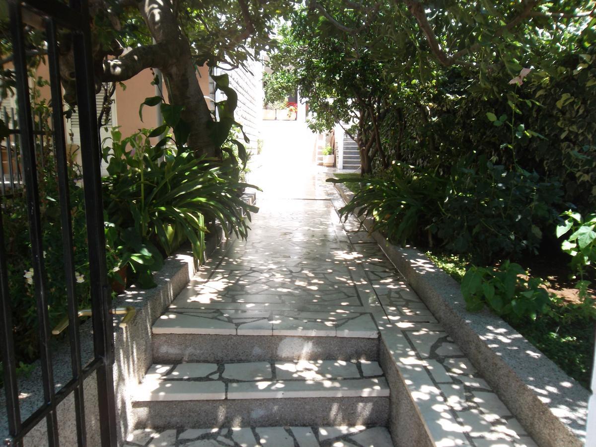 Guest House 4M Petrovac Extérieur photo